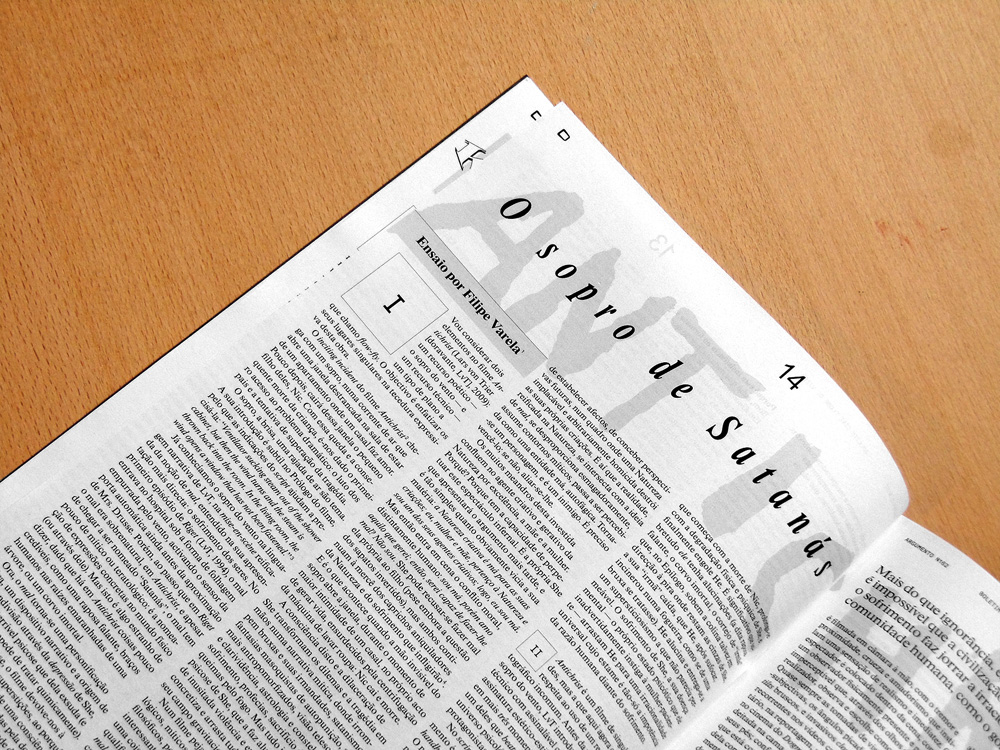 Argumento 162: essay
