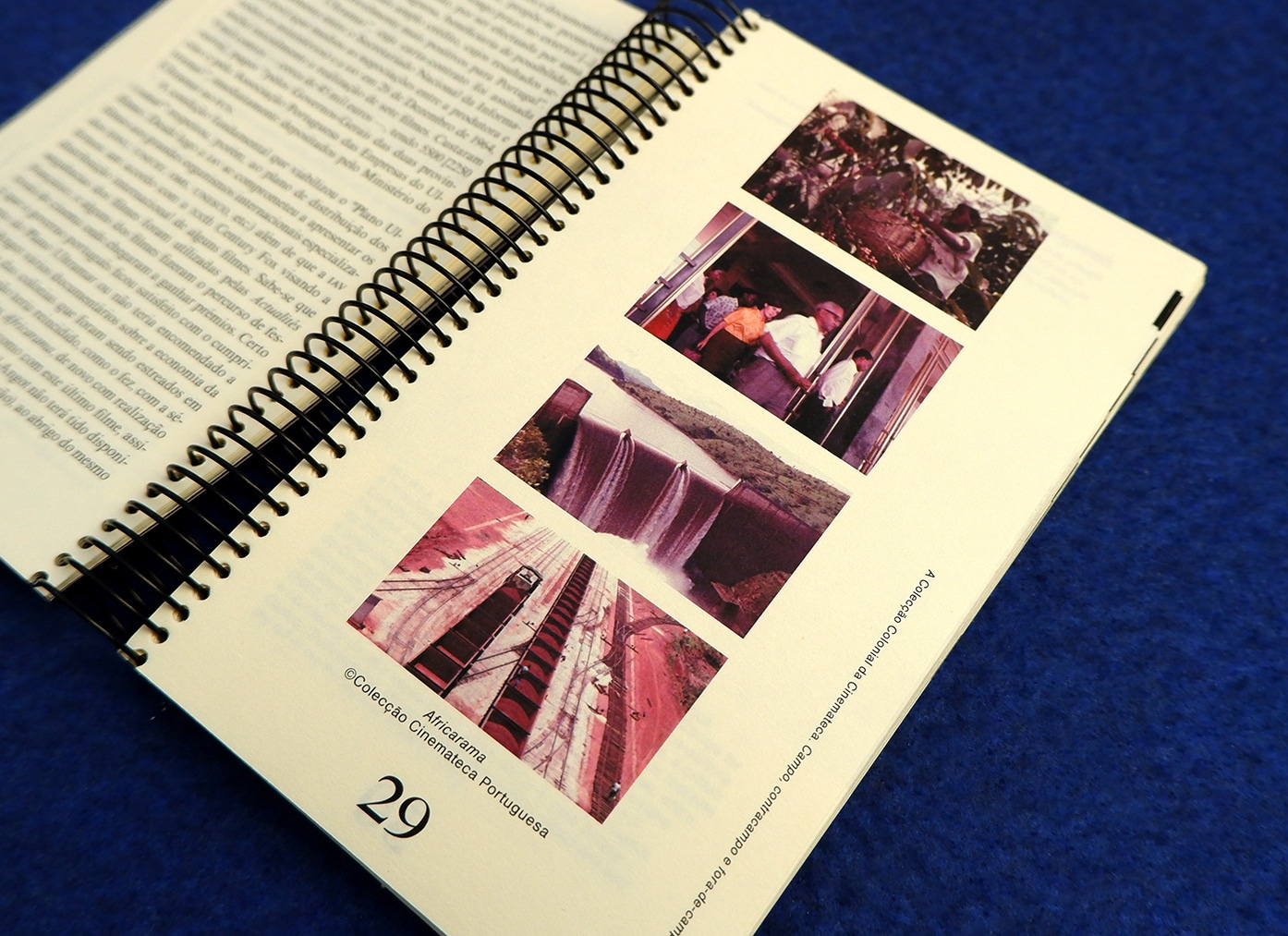 Inner pages