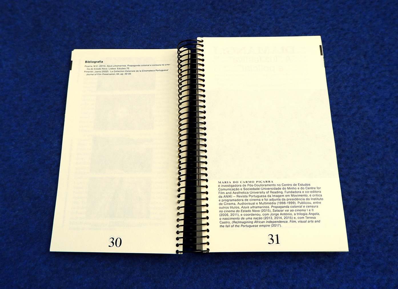 End of chapter / references / author's bio