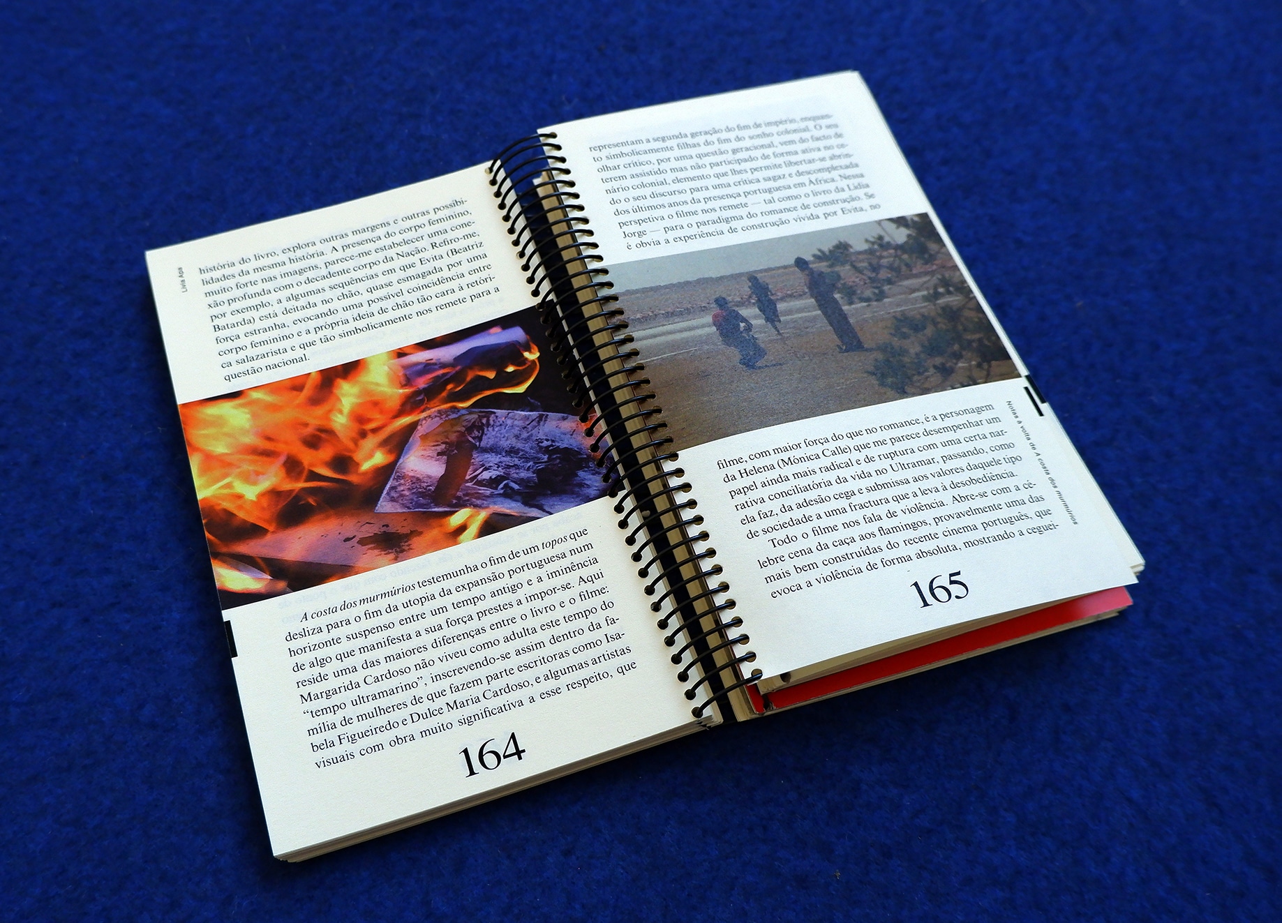 Inner pages